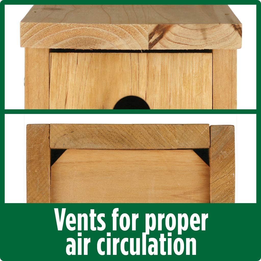Nature's Way Cedar Box Wren House with Clean-Out Door, Wild Bird House and Outdoor Décor, Brown