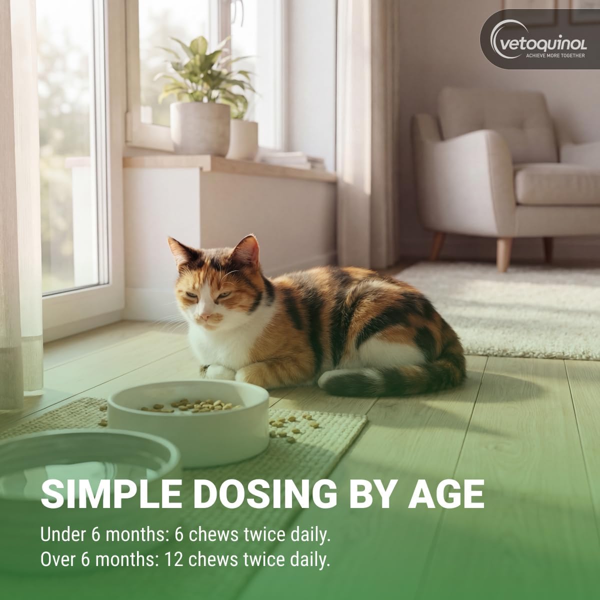 Vetoquinol Enisyl-F Lysine Bites - L-Lysine Chews for Cats & Kittens - Daily Supplement for Immune