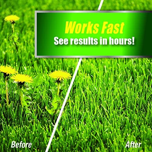 Weed Killer for Lawns Ready to Use