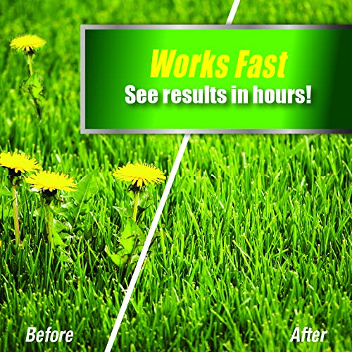 Weed Killer for Lawns Concentrate