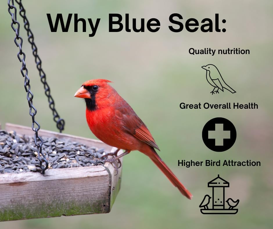 Blue Seal Nature's Choice Wild Bird Seed | High Energy Blend, Sunflower and White Safflower Seeds, No Filler | 20 Pound Bag
