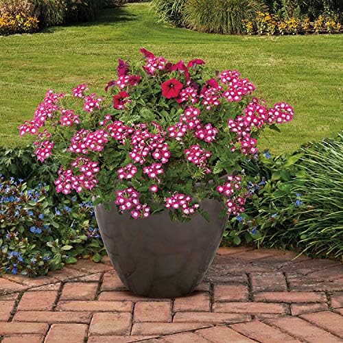 Suncast Wicker Planter w/ Drillable Drain Holes, Decorative Indoor/Outdoor Pot, 18in, Java
