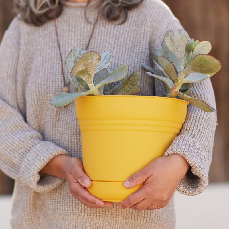 Bloem Saturn Round Planter with Saucer Tray: 14" - Black - Durable Plastic Pot, Matte Finish, Removable Saucer, for Indoor & Outdoor Use, Gardening, 5 Gallon Capacity