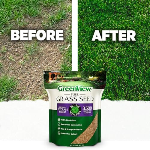 GreenView Pure Grass Seed Perennial Ryegrass Blend, 20 lb. Bag | Covers up to 10