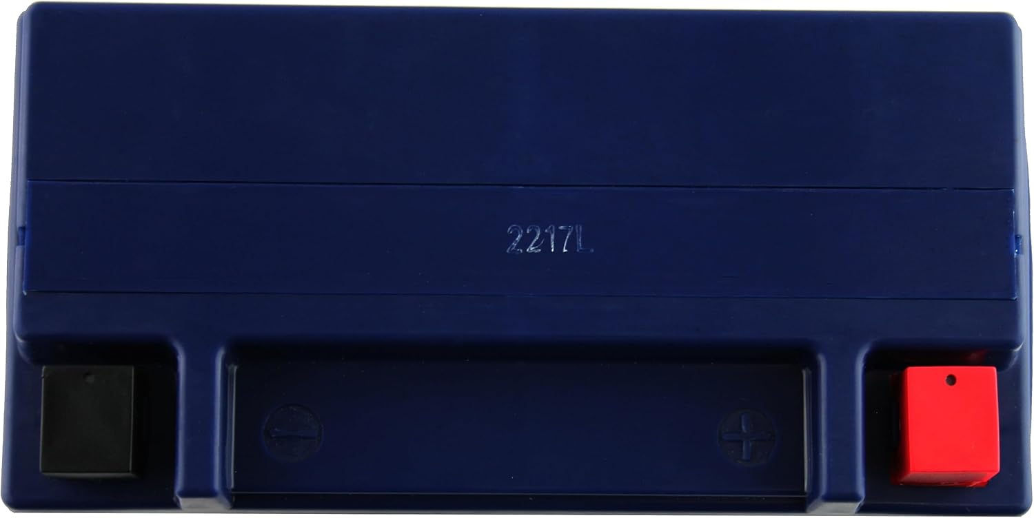 owerStar YTX20L-BS AGM Battery Compatible with Harley-Davidson, 310 CCA