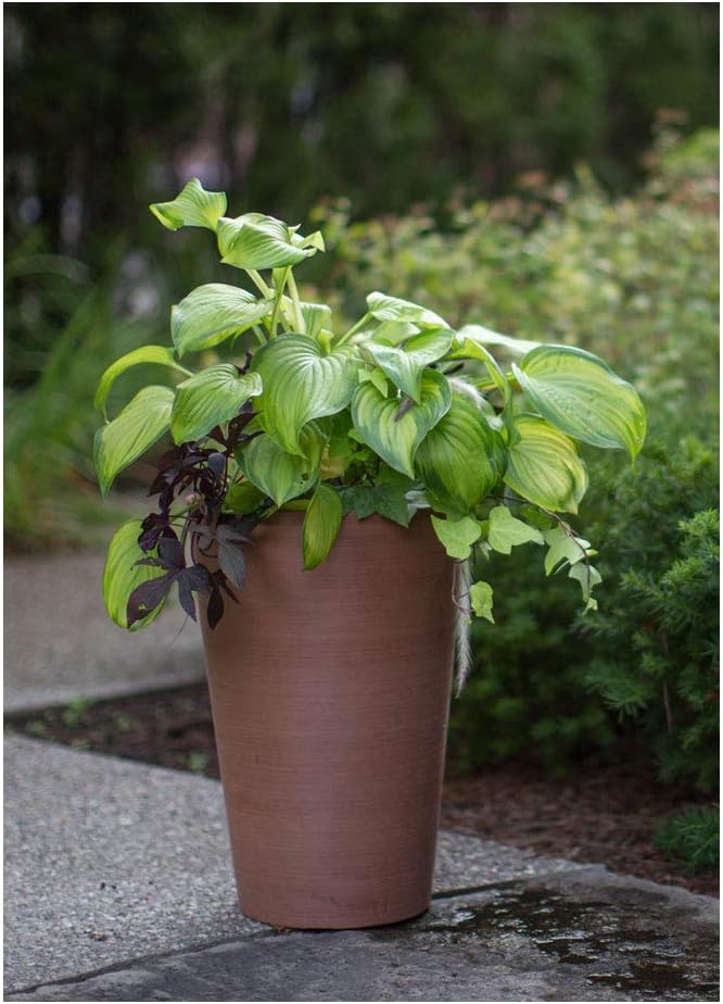 Algreen Valencia Round Planter Pot, 12.25 by 18-Inch, Textured Brown | Round Shape, Indoor Use, UV And Weather Resistant, Drainage Hole With Removable Plug, Lightweight 5.51 lb
