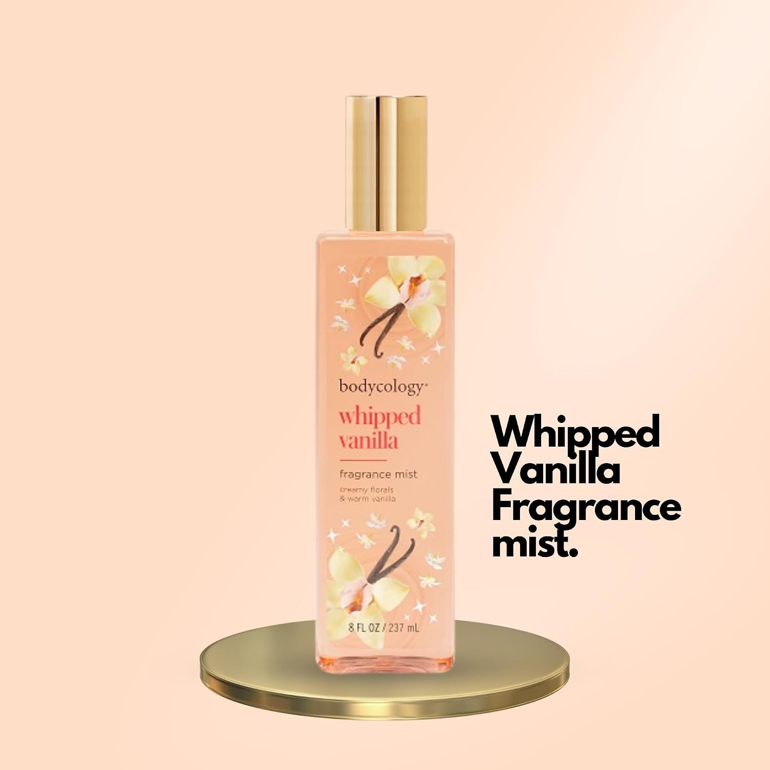 Bodycology Toasted Sugar Fragrance Mist for Women, 8 Fl Oz (455004008)