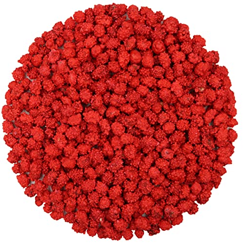 FirstChoiceCandy French Burnt Peanuts Classic Red Old Fashioned Candy, 2 Pound