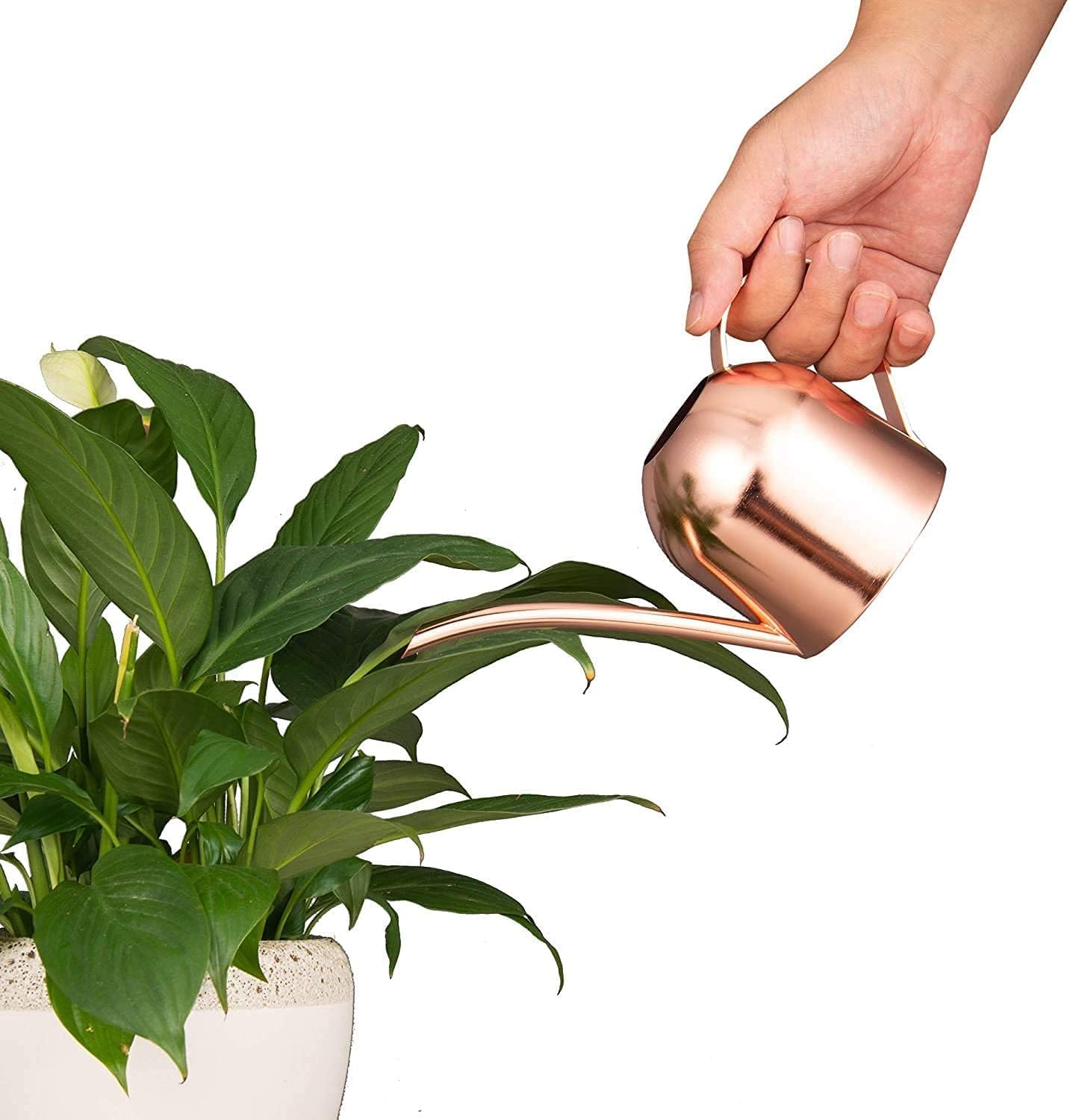 IMEEA Indoor Watering Can for House Plants 33oz/1L Brushed Stainless Steel Watering Can with Long Spout for Succulents, Bonsai