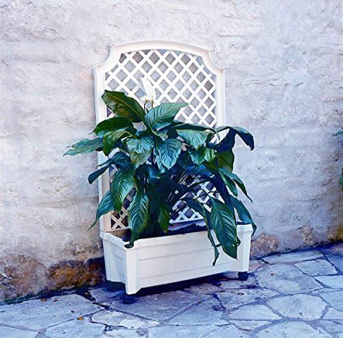 Exaco 1.416Green Calypso Trellis, Green planters