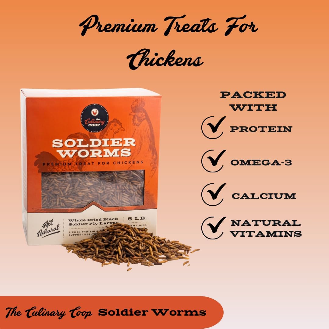 Fluker's Culinary Coop Premium Chicken Treats, Dried Soldier Worms, Packed with Protein and Calcium, 100% Natural Rich Grubs for Chicken, Backyard Birds, and Reptiles, 16 oz