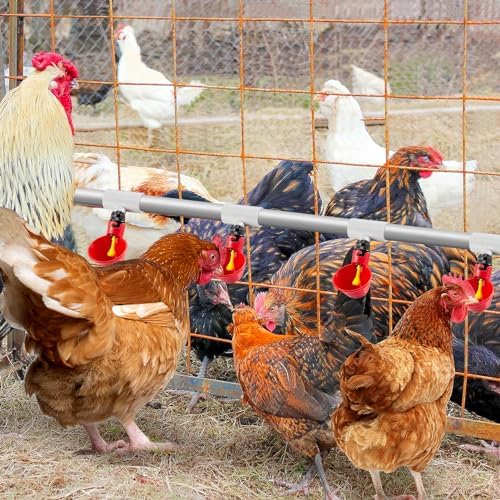 MEWTOGO 20 Pcs Chicken Waterer PVC Pipe Tee Fittings for Large Chicken Coop