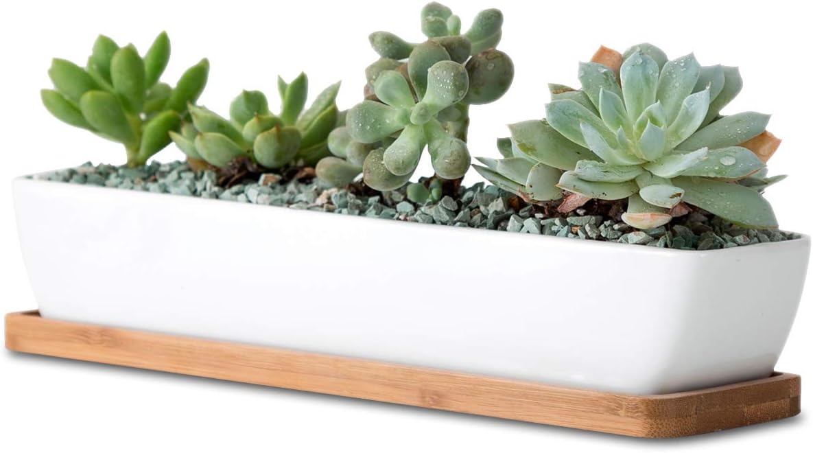 11inch Long Rectangle White Ceramic Succulent Planter Pots,with Bamboo Saucers. Product Size:11x2.23x1.69inch.