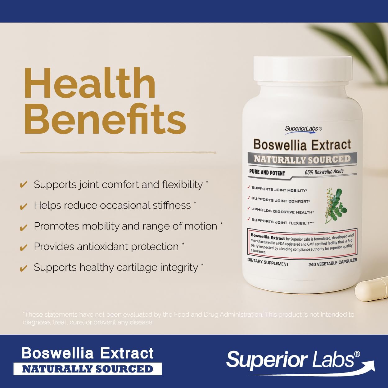 Superior Labs Boswellia Serrata Extract 500mg – 65% Boswellic Acids, Pure Non-GMO, Zero Fillers, Indian Frankincense