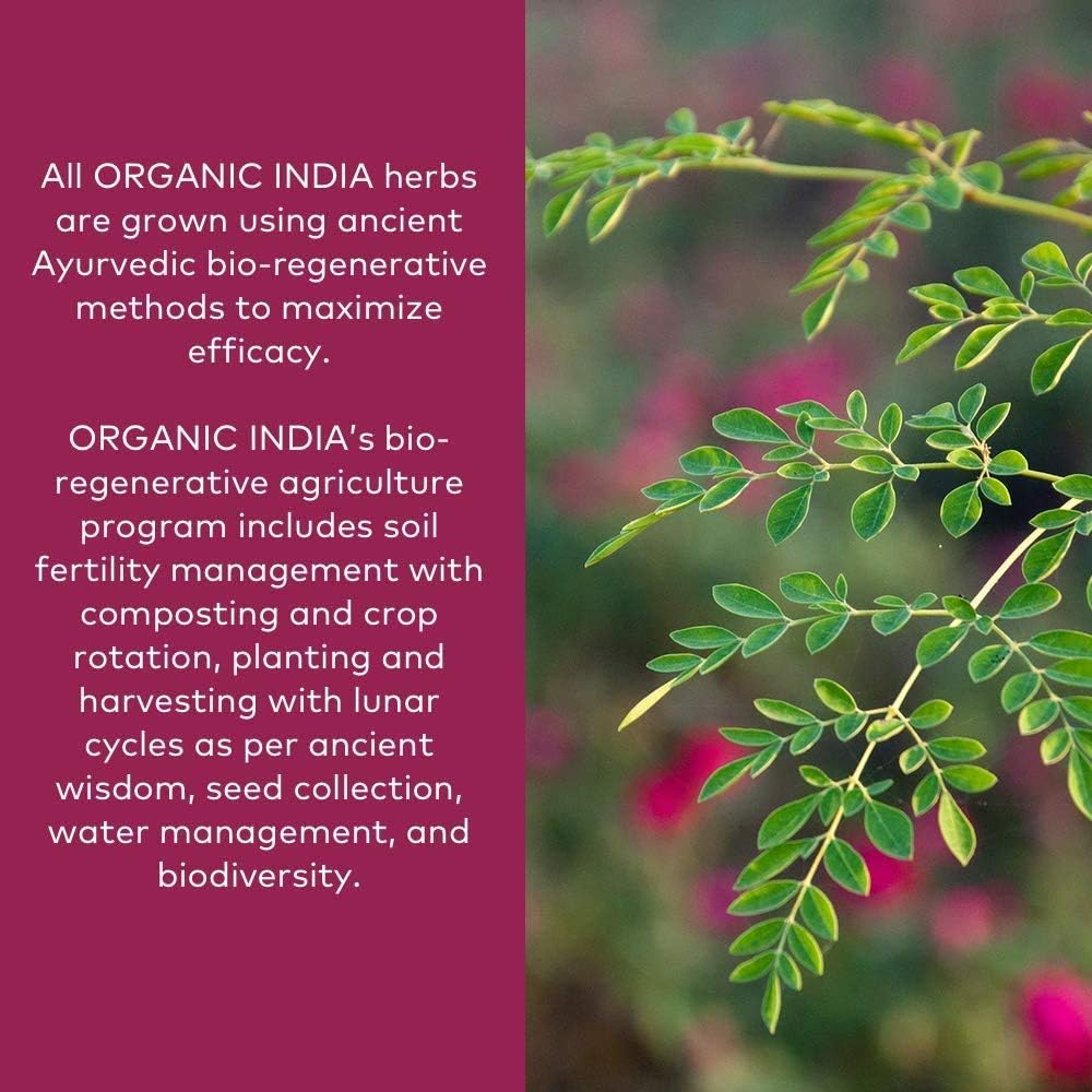 ORGANIC INDIA Ashwagandha Powder Organic - Ashwagandha Root Powder Bulk, Herbal Supplement - Vegan, Gluten-Free, Kosher, Non-GMO