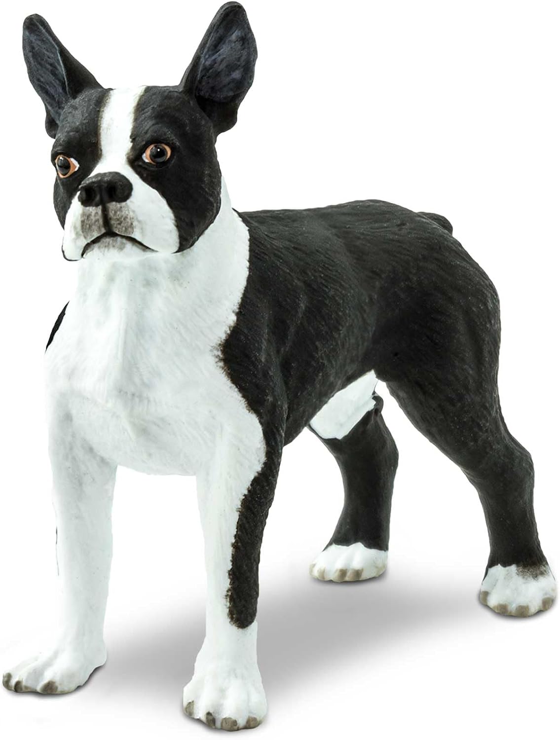 Safari Ltd. Boston Terrier Figurine - Lifelike 2.5" Model Figure - Educational Toy for Boys, Girls, and Kids Ages 3+