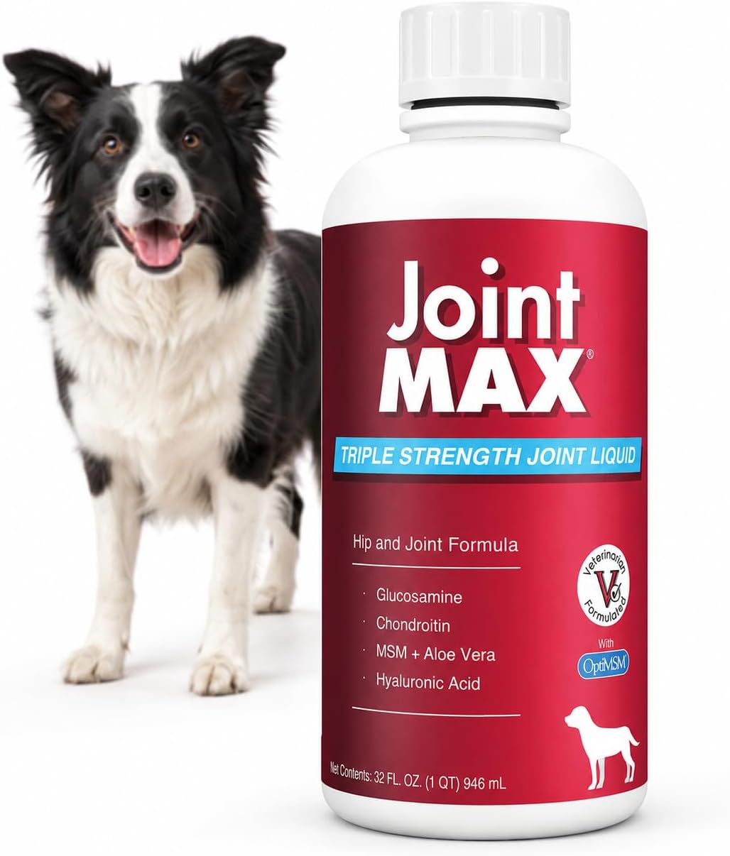 TS Joint Supplement Vet Formulated Pain & Inflammation Relief Treats Hip Dysplasia & Arthritis.Glucosamine, Chondroitin, Turmeric, MSM, HA, Creatine, Omega 3 EPA+DHA. All Dogs 240 Soft Chews