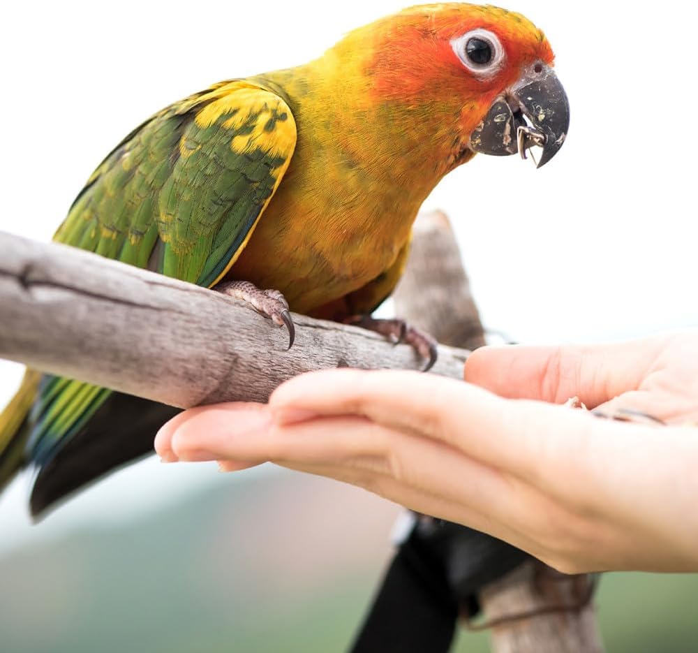 Wild Harvest Universal Blend For Small Birds 3 Pounds, Foritified Nutrition