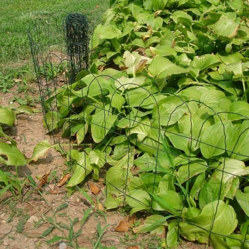 14 inch(H) x 20 feet(L) Green Garden Border Edging Folding Fence Roll Scroll Top Rolled Yard Fencing Garden Fence, Metal Wire Garden Fence for Outdoor,Yard Landscape Patio,Flower Bed Edging