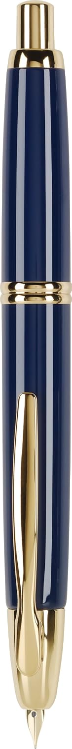 PILOT Vanishing Point Collection Refillable & Retractable Fountain Pen, Matte Black Barrel, Blue Ink, Fine Nib (60580)