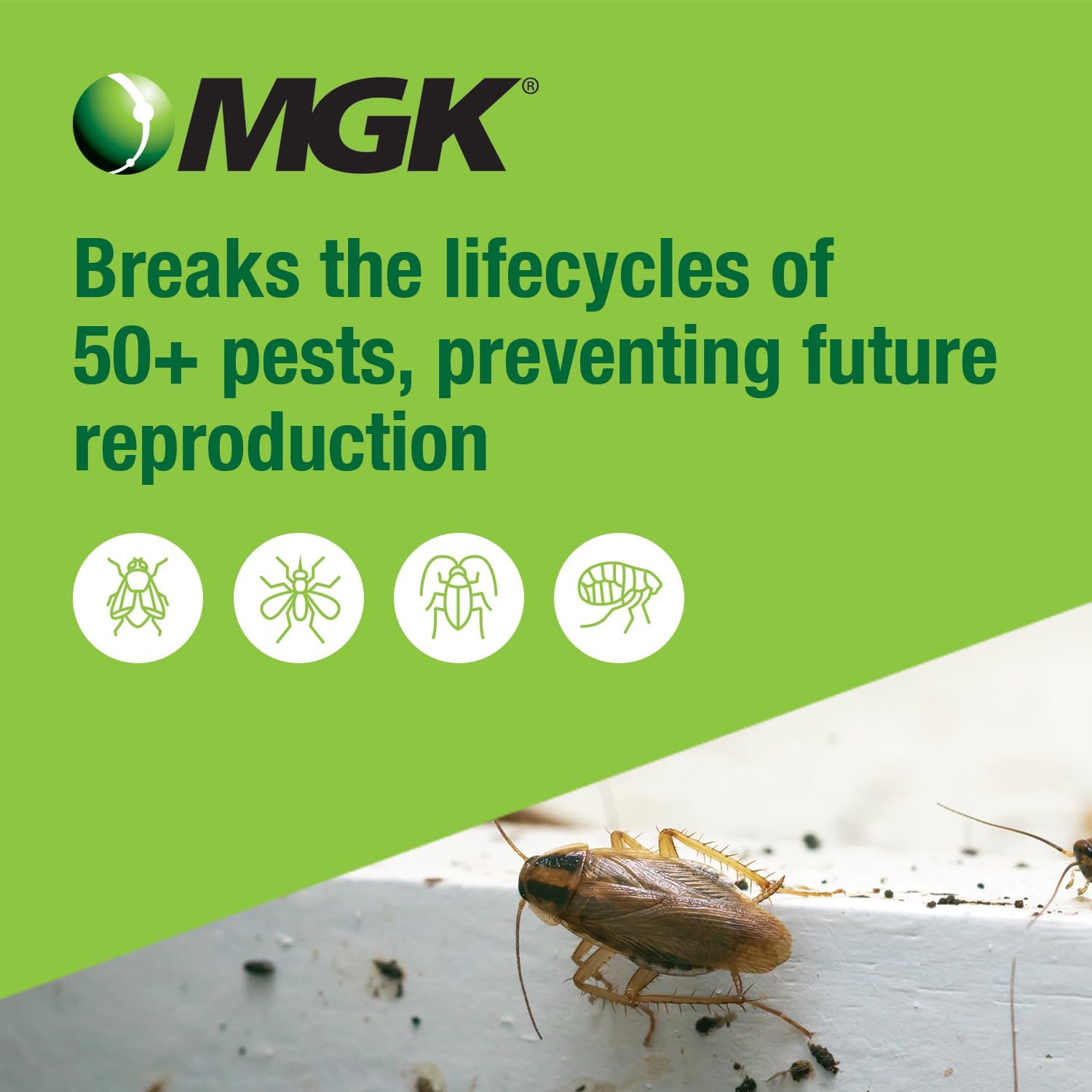 MGK NyGuard IGR Concentrate | Insect Growth Regulator | 140 ML | Break the lifecycle, Cockroach, Flea, Ant, Fly and Mosquito Concentrate, for Indoor/Outdoor Applications