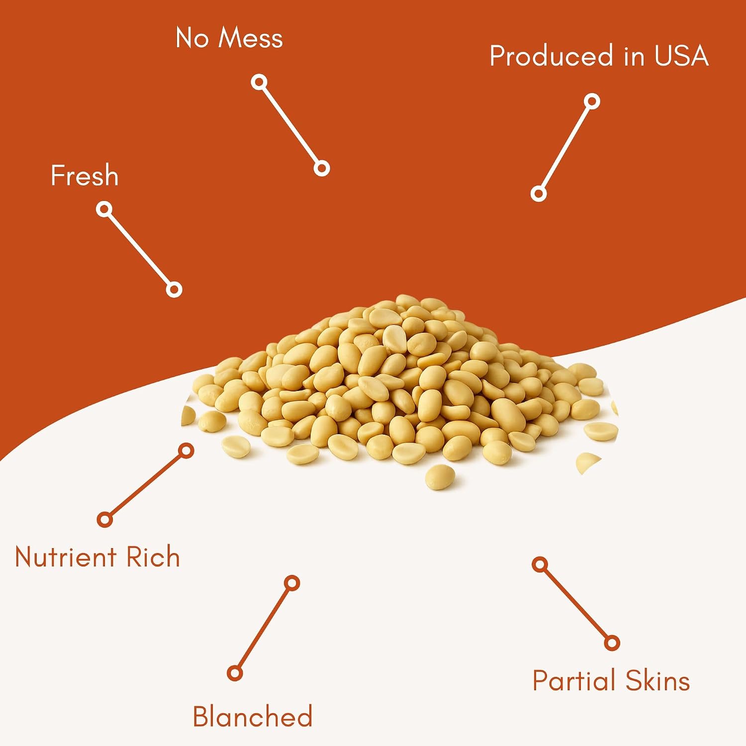 Fresh Shelled Peanuts for Birds & Squirrels - Raw Wildlife Peanuts, No Mess Bird Seed, No Waste Bird Seed for Wild Birds & Backyard Squirrels (10lbs)