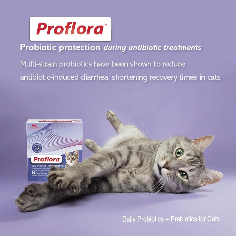 Probiotics and Prebiotics for Dogs – Daily Digestive Health Supplement, Supports Immune System, Gut Health, Healthy Digestion & Nutrient Absorption, 30 Powder Sachets.