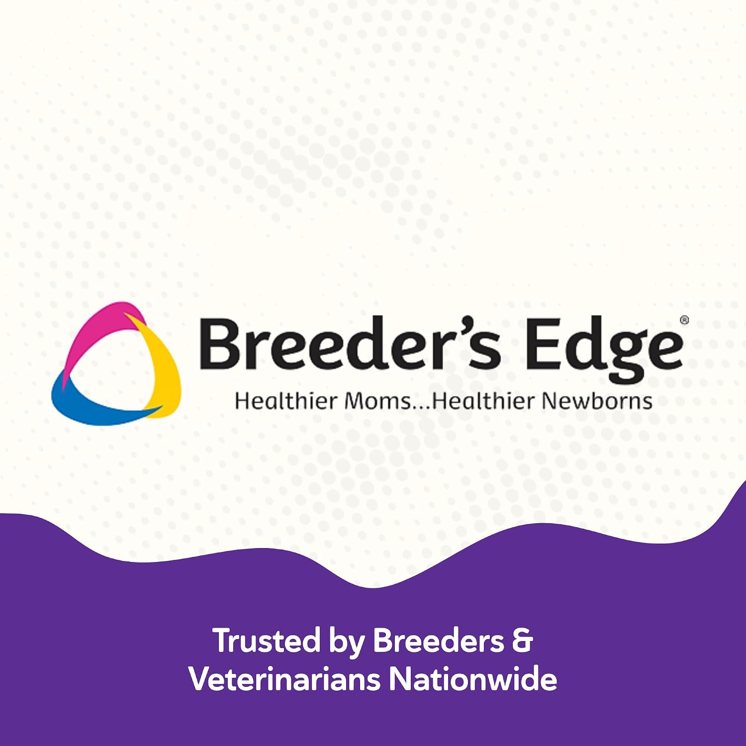 Breeder’s Edge B Strong Powder, B-Complex Vitamin Supplement for Dogs and Cats, Supports Reproductive Health, Promotes Normal Heat Cycles, and Helps Maintain Energy, 300g