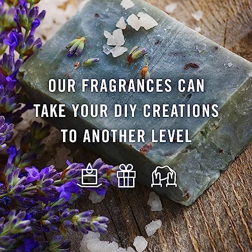 P&J Trading Fragrance Oil | Cedar Oil 30ml - Candle Scents for Candle Making, Freshie Scents, Soap Making Supplies, Diffuser Oil Scents
