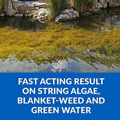 CrystalClear Algae D-Solv EPA Registered Pond Algaecide, 1 Gallon | Fast-Acting algae control for fountains & outdoor ponds containing koi & other fish, 1 gal treats 46,080 gallons.