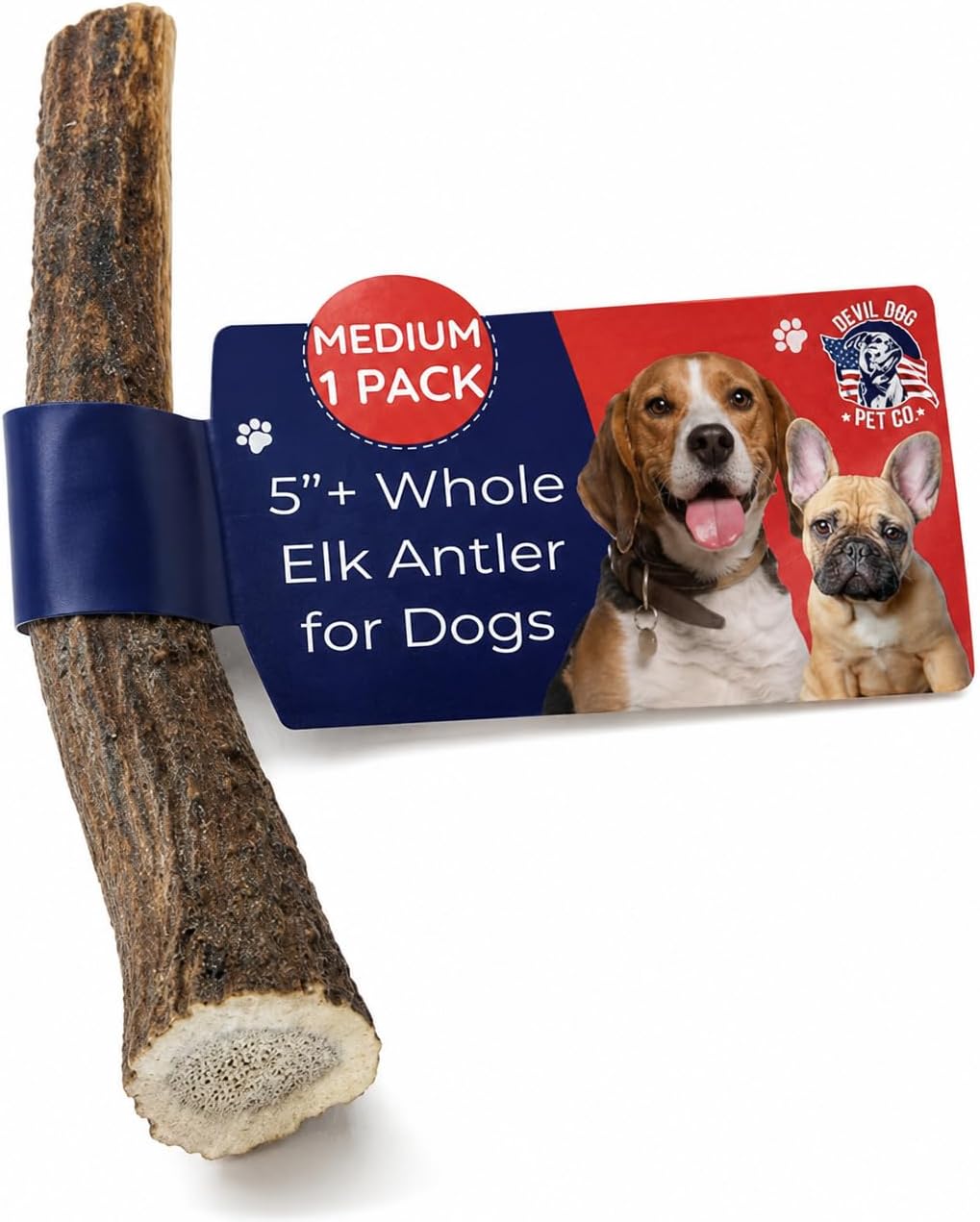 Devil Dog Pet Co Whole Elk Antlers for Dogs, Medium, Aggressive Chewers | Naturally shed Grade A Rocky Mountain elk antler, single ingredient, long lasting, 5 in+, fits breeds up to 50 lb