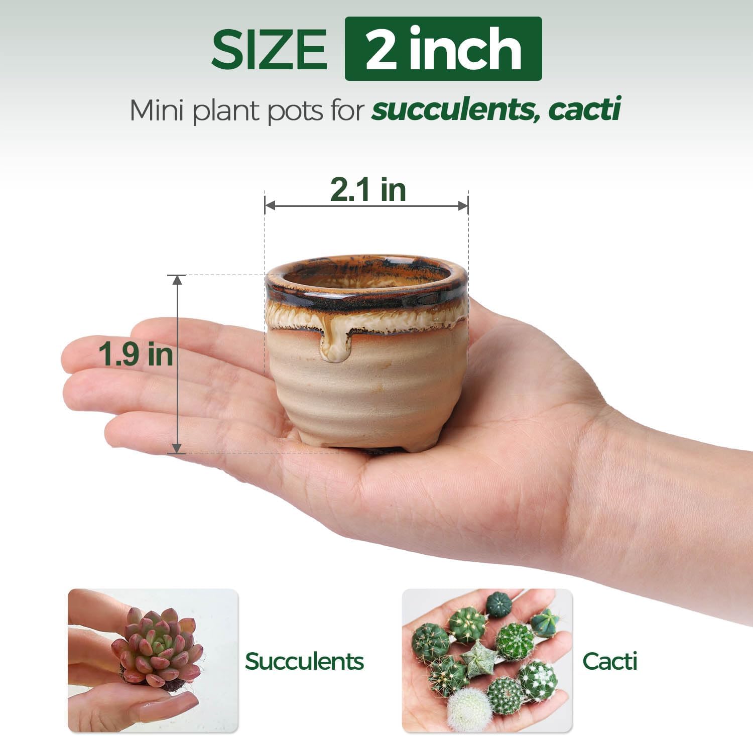 T4U Mini Succulent Ceramic Pots for Gifts, Small Planters for Decor 6 Pack | Planters with Drainage, for live cactus plants, bonsai tree starter pots, indoor windowsill decor, office desk accents