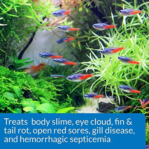 API FIN & BODY CURE Freshwater Fish Powder Medication 10-Count Box