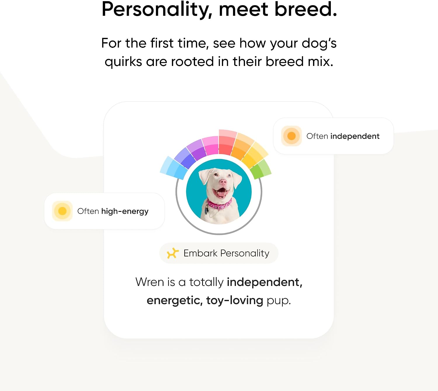 Embark Breed ID Dog DNA Test Kit – 400+ Breeds, 99% Breed Accuracy | Dog DNA testing kit for mixed breeds. Ancestry to great-grandparents
