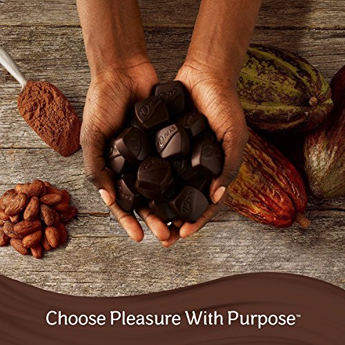 Dove Promises Peanut Butter and Dark Chocolate Candy, 7.94 Ounce