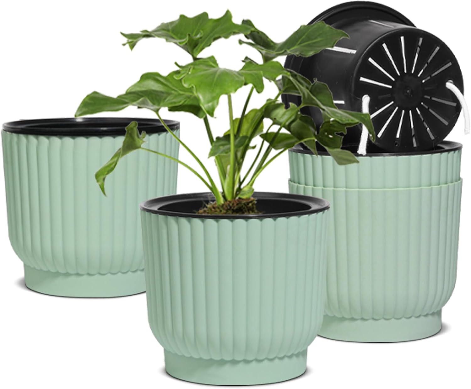 T4U Self Watering Pots for Indoor Plants, 4 Inch 6 Pack Planter White