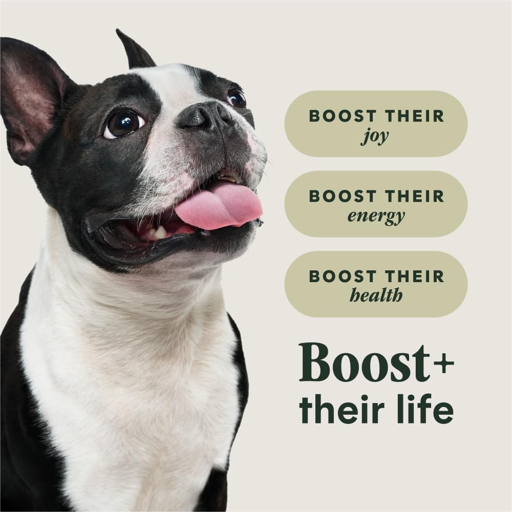 Instinct RawBoost Small Breed, Dry Dog Food + Freeze Dried, Chicken, 10 lb | High-protein kibble with FreshDried raw bites, nutrition for healthy weight, calcium for strong bones & teeth, grain-free
