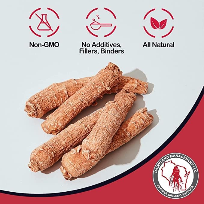 Dairyland Management LLC Red Panax Ginseng Root - 4 oz Pack of Korean Panax Ginseng Root - Authentic Panax Ginseng - Non-GMO