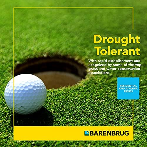 Barenbrug Turf Blue Pro Kentucky Bluegrass Lawn Seed with Yellow Jacket Seed Coating, All-Season Durable Grass Mix for Lawns, 25-lb. Bag