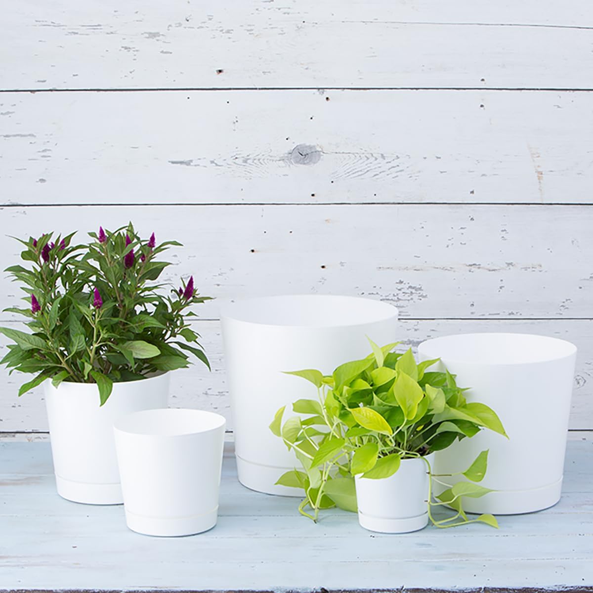 Novelty Majestic Full Depth Round Cylinder Pot, Glossy White, 8-Inch (10082)
