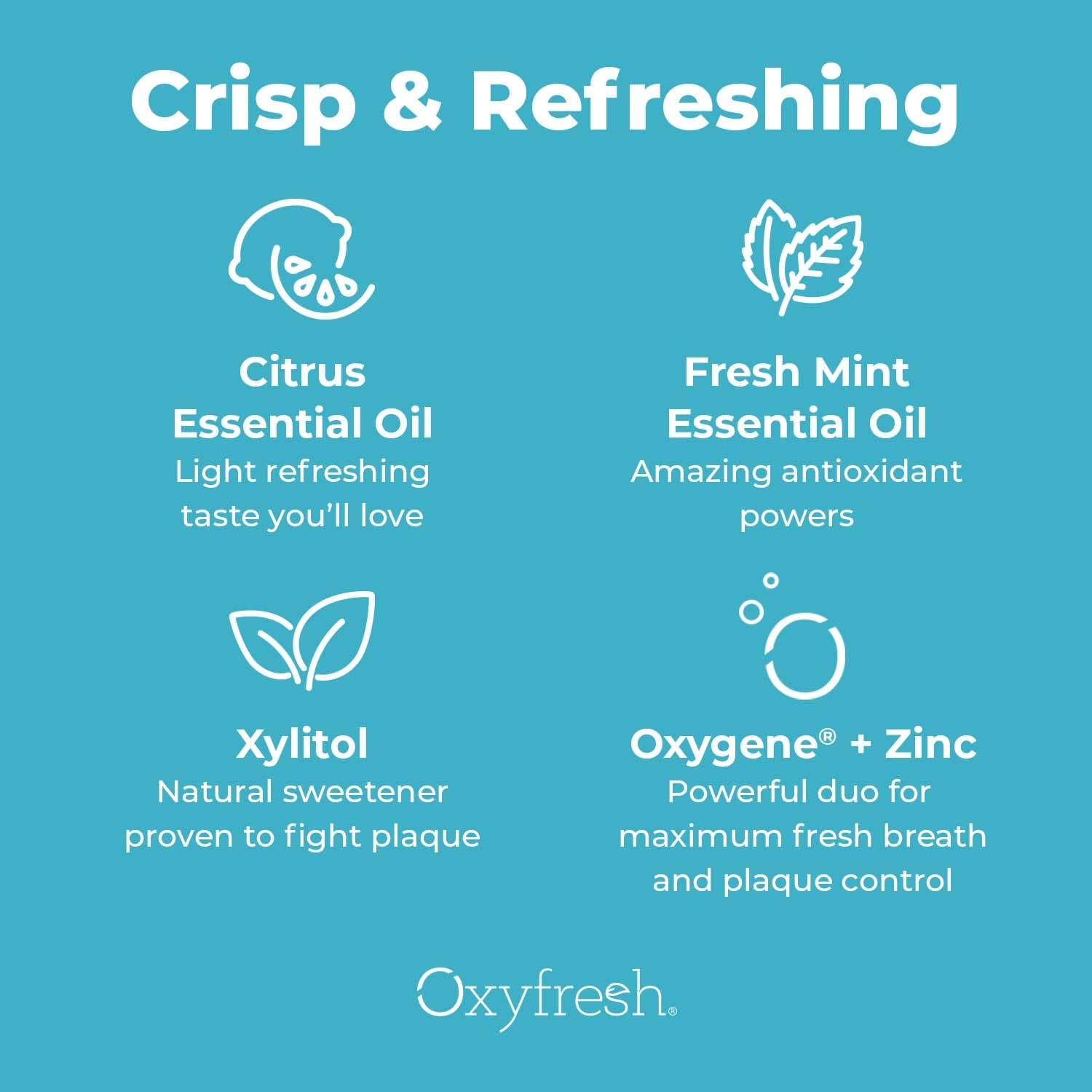 Oxyfresh Lemon Mint Fresh Breath Mouthwash – Bad Breath Treatment – SLS & Fluoride Free – Alcohol Free, Gentle Nonburning with Xylitol & Essential Oils – 16 Fl Oz | Refreshing Oral Rinse for Bad Breath – Alcohol Free, Gentle Non Burning Mouthwash with Xy…