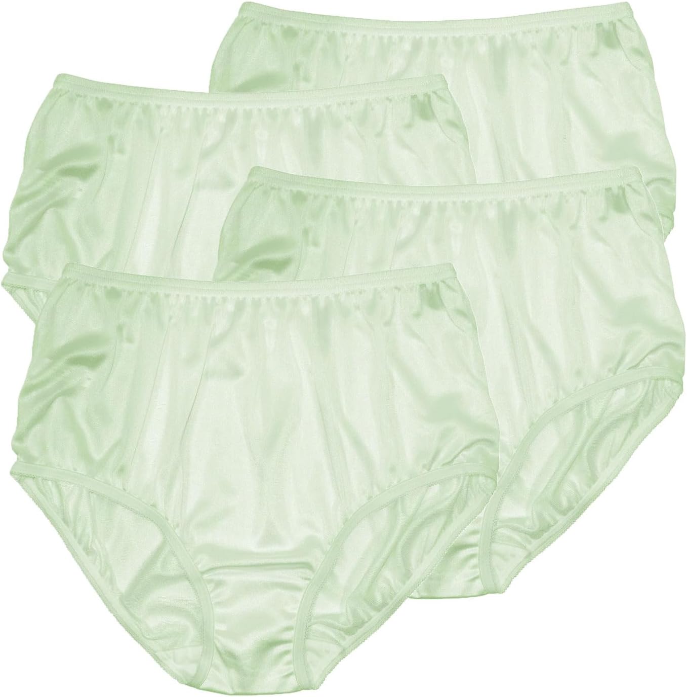 Teri Women's 331 Plain Jane Classic Nylon Silky-Smooth Lightweight Breathable Full Coverage Brief Panty - 4 Pack