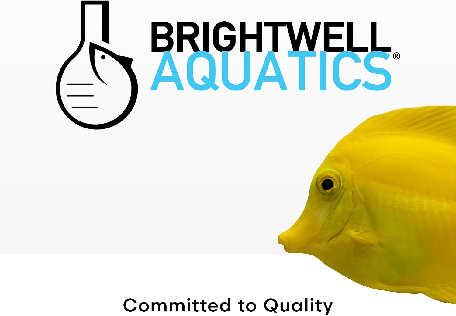 Brightwell Aquatics MicroBacter7 Biological Filter Bioculture Aid, 500 ml