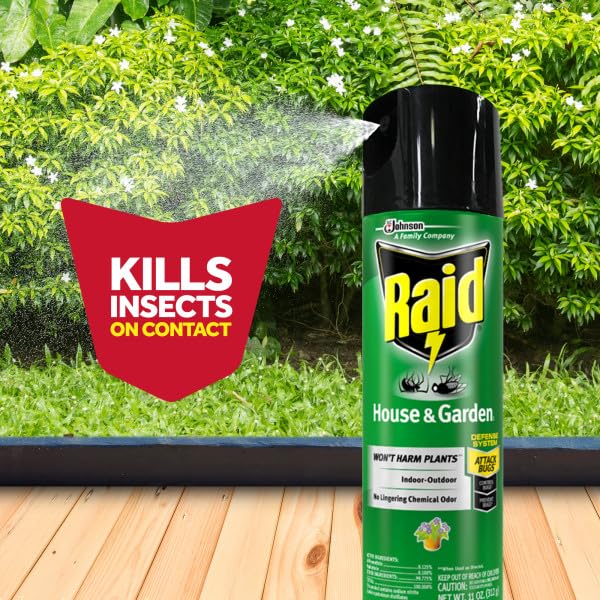 Raid House & Garden Bug Killer Aerosol Kills Bugs on Contact Won’t Harm Plants Indoor and Outdoor Use 11 Ounce (Pack of 1)