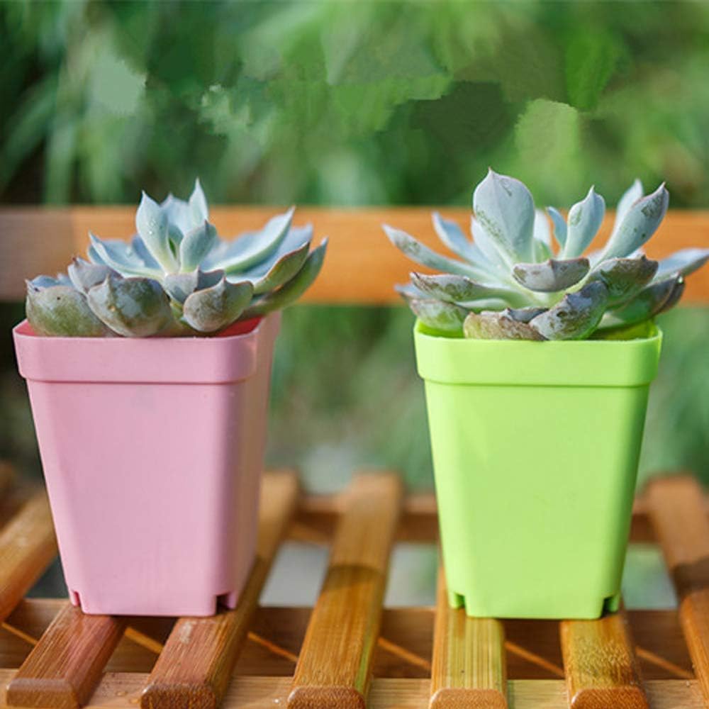 Haawooky 24 Pack Colorful Flower Pots Square Plastic Plant Pots Succulent Planter Nursery Pots with Saucers for Your Room