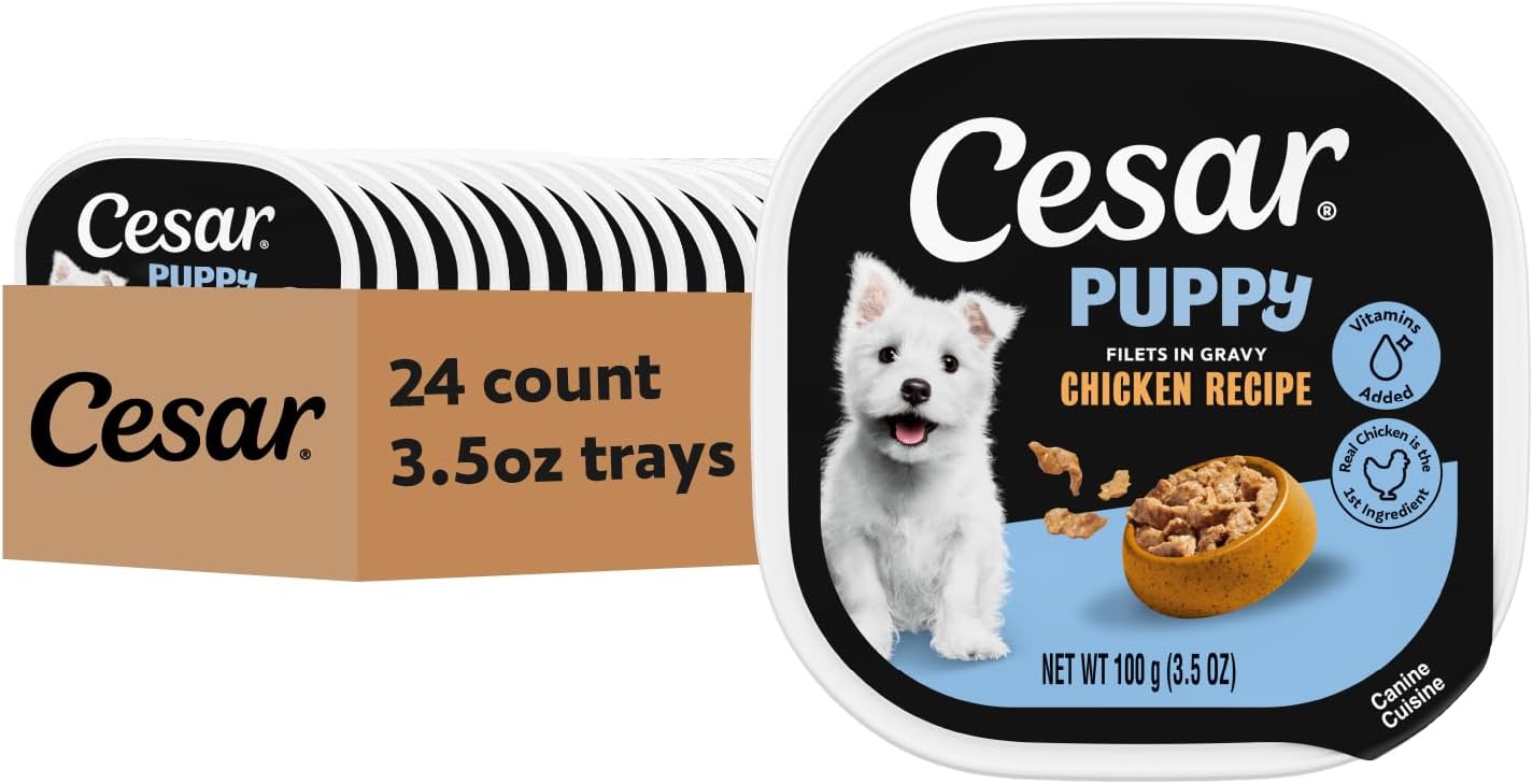 Cesar Puppy Classic Loaf Wet Dog Food, Chicken & Beef, 3.5 oz, 24 Count | Real chicken #1 ingredient, made in USA, no fillers or artificial flavors, essential nutrients, slow-cooked, easy peel trays
