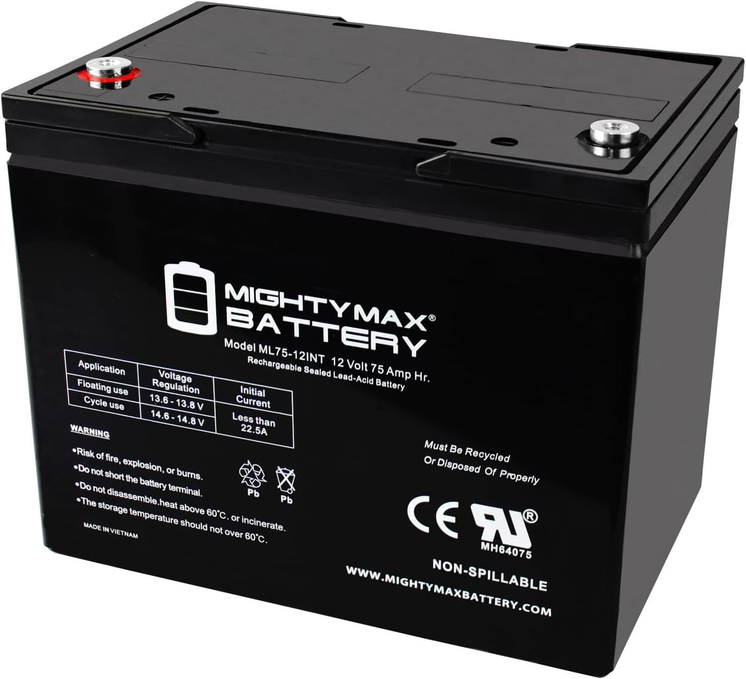 ML100-12 - 12 Volt 100 AH, Internal Thread (INT) Terminal, Rechargeable SLA AGM Battery, 1 Count (Pack of 1)