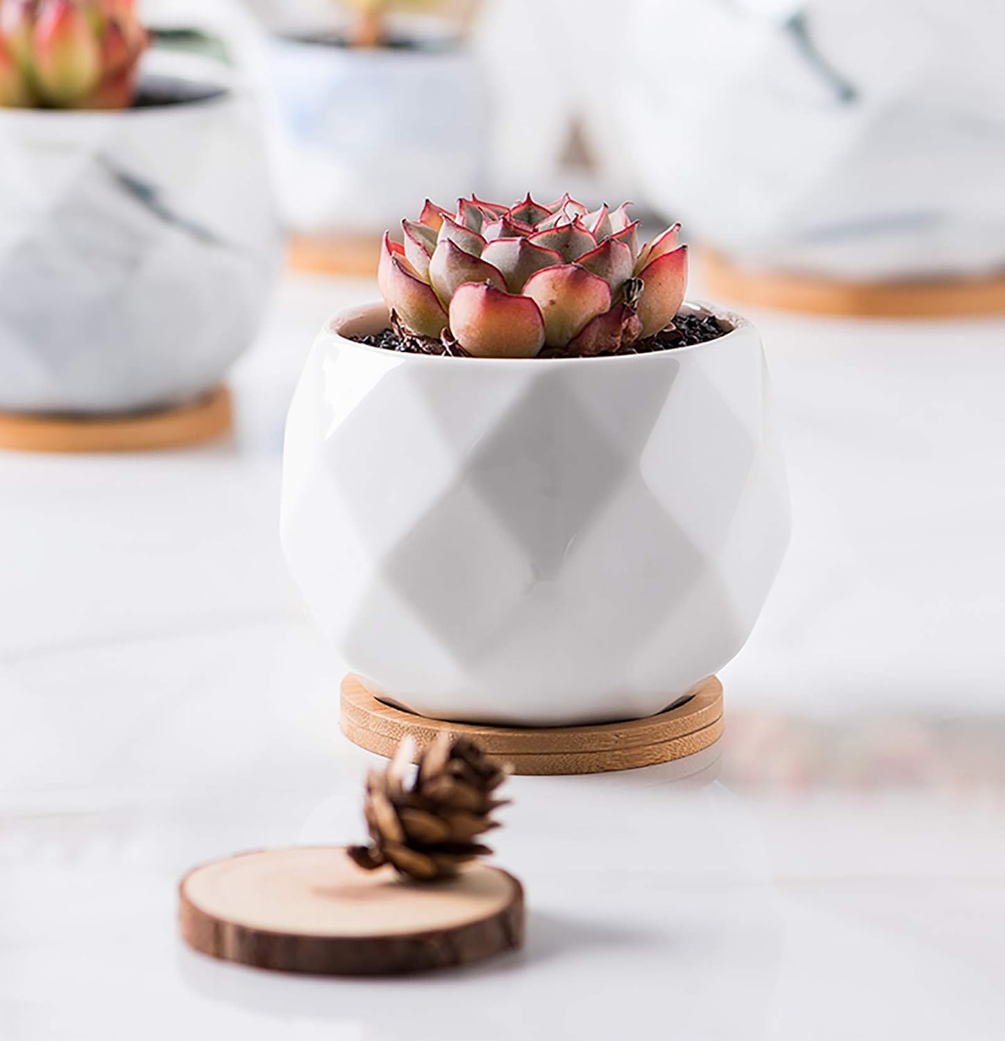 Jucoan 6 Pack Ceramic Succulent Planter Pot with Bamboo Tray