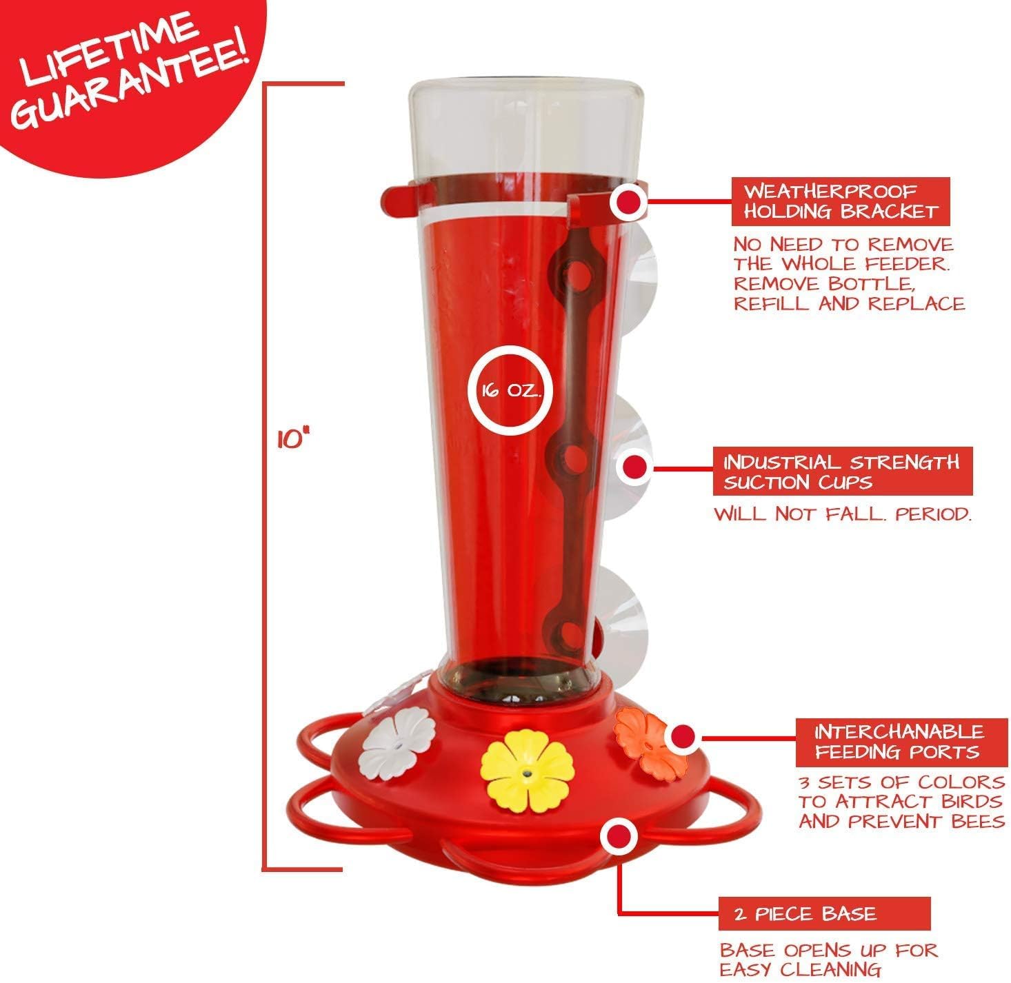 Window Hummingbird Feeder, Suction Cup, Hummingbird Feeders for Outdoors