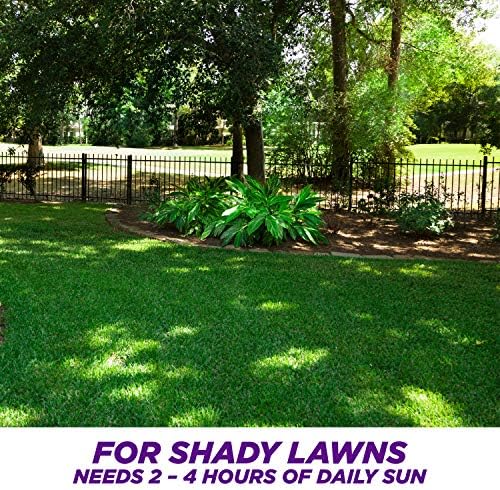 Pennington Smart Seed Dense Shade Grass Seed, 3 lb (100086851)